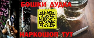 гашик Дубна