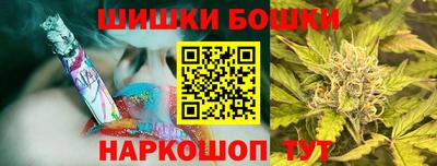 гашик Дубна