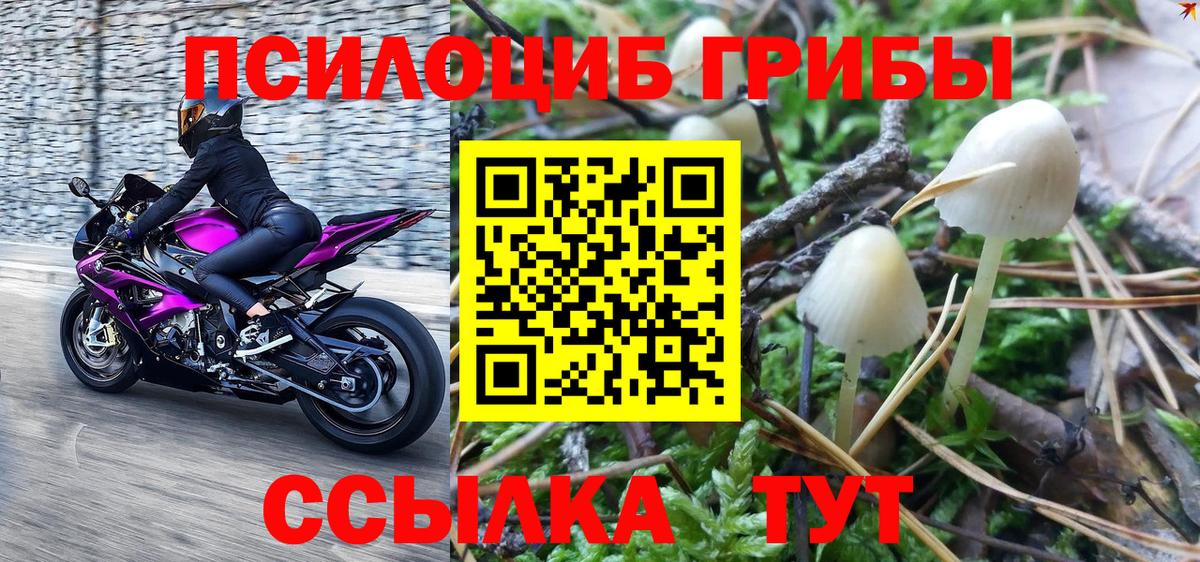 Нижний Тагил  Псилоцибиновые грибы Magic Shrooms  Галлюциногенные грибы MAGIC MUSHROOMS  Вход с VPN 